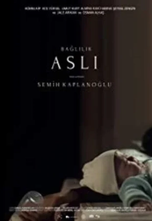 Обязательная Асли